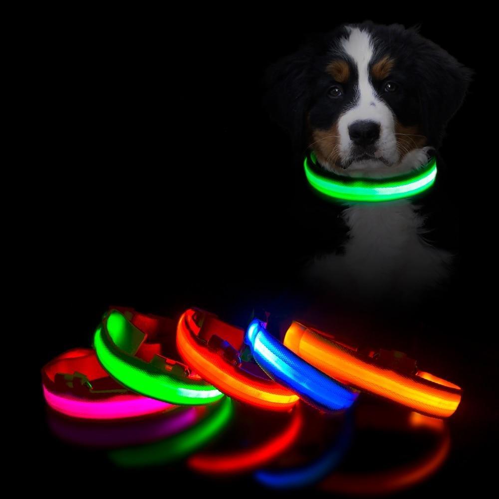 LightCollar | Honden Halsband - bellanza