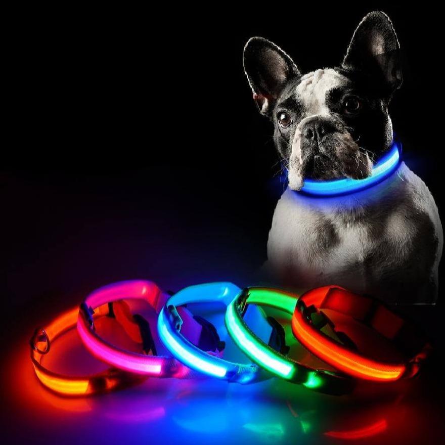LightCollar | Honden Halsband - bellanza