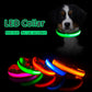 USB oplaadbare LED halsband voor honden - bellanza