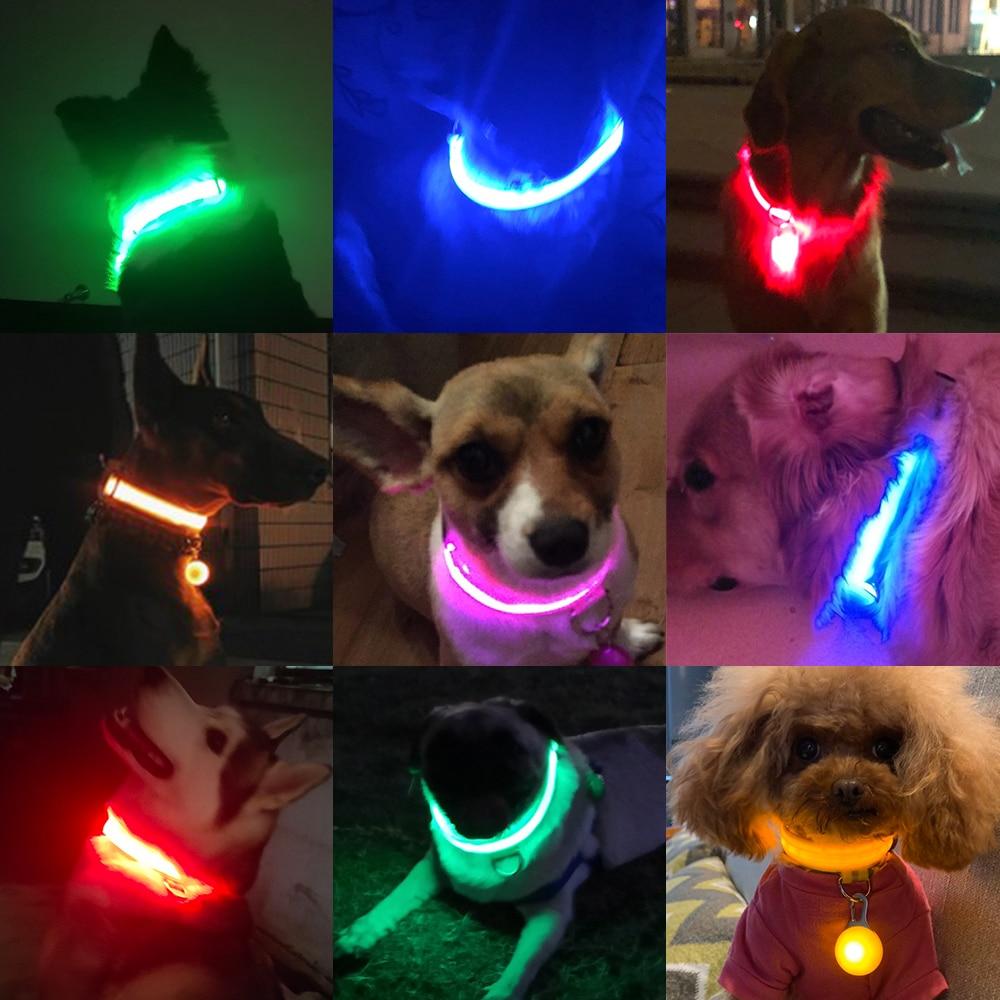 USB oplaadbare LED halsband voor honden - bellanza