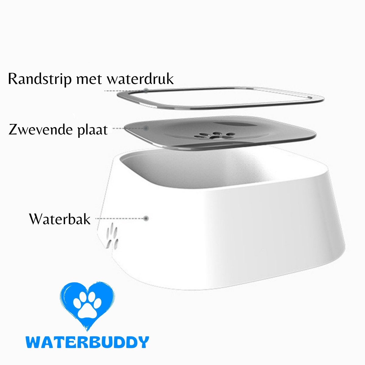 WaterBuddy - bellanza